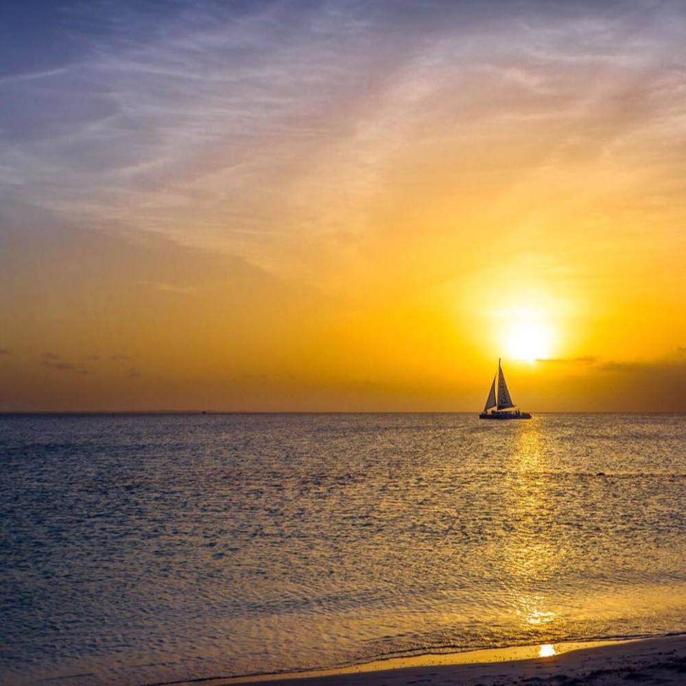 Meet your Posher, Vick